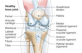 pain-in-the-back-of-the-knee